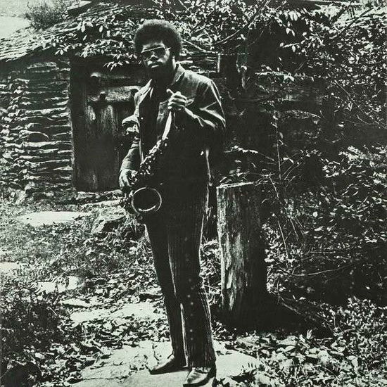 Cover for Joe Mcphee · Nation Time (LP) (2019)