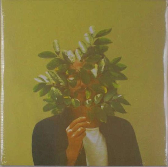 Cover for Fkj · French Kiwi Juice (LP) (2017)