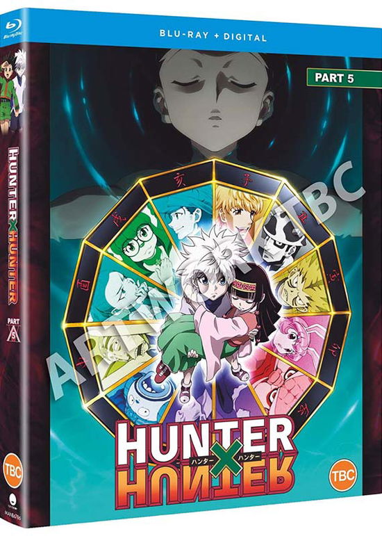 Cover for Hunter X Hunter - Part 5 (Epis · Hunter X Hunter Set 5 (Episodes 119-148) (Blu-ray) (2021)