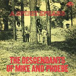 Cover for Descendants Of Mike &amp; Phoebe · Spirit Speaks (LP) (2018)