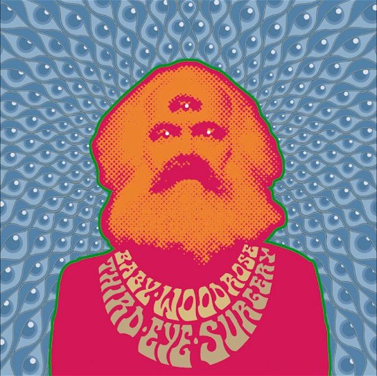 Cover for Baby Woodrose · Third Eye Surgery (CD) (2012)