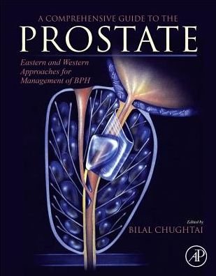 Cover for Bilal Chughtai · A Comprehensive Guide to the Prostate: Eastern and Western Approaches for Management of BPH (Paperback Book) (2018)