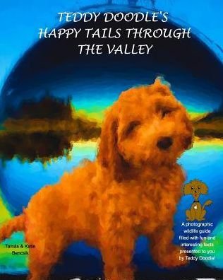 Cover for Tamas · Teddy Doodle's Happy Tails Through The Valley (Paperback Book) (2018)