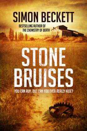 Cover for Beckett · Stone Bruises (Book) (2014)