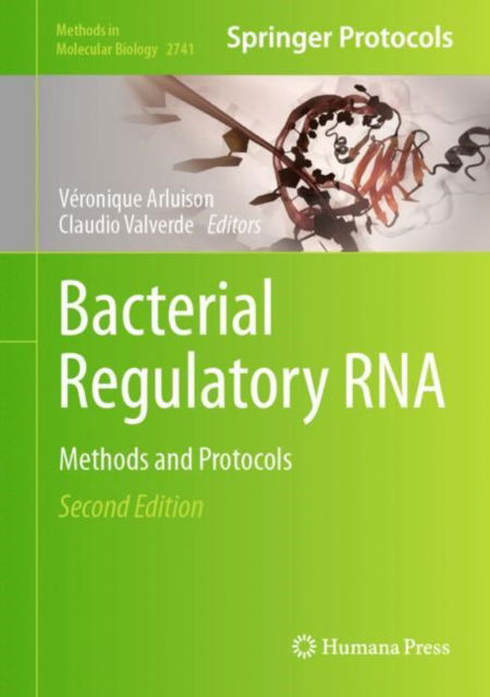 Bacterial Regulatory RNA: Methods and Protocols - Methods in Molecular Biology - - Books - Springer-Verlag New York Inc. - 9781071635643 - January 14, 2024