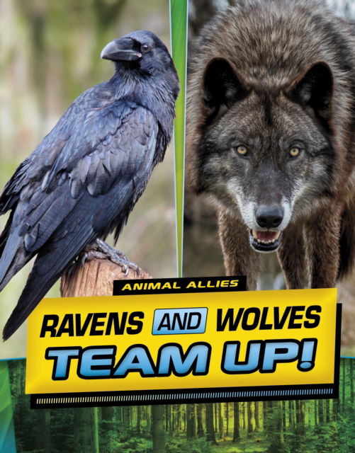 Cover for Stephanie True Peters · Ravens and Wolves Team Up! - Animal Allies (Hardcover bog) (2024)