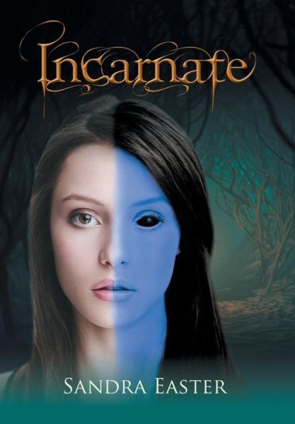 Cover for Sandra Easter · Incarnate (Hardcover Book) (2014)