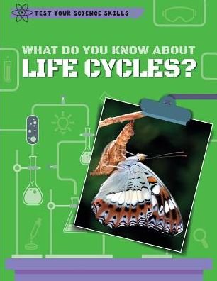 Cover for Anna Claybourne · What Do You Know about Life Cycles? (Hardcover bog) (2017)