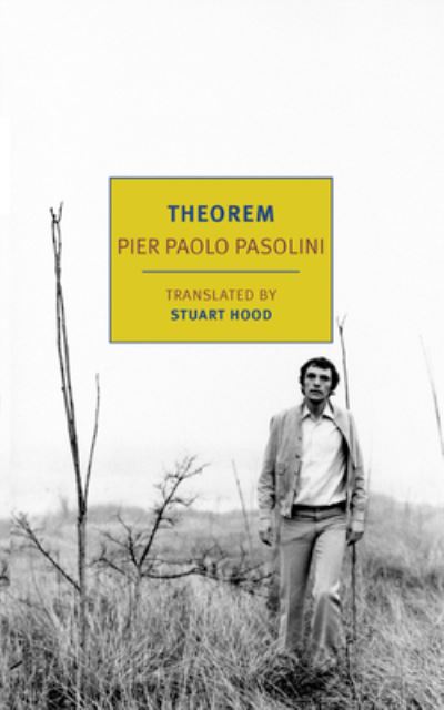 Cover for Pier Paolo Pasolini · Theorem (Pocketbok) (2023)