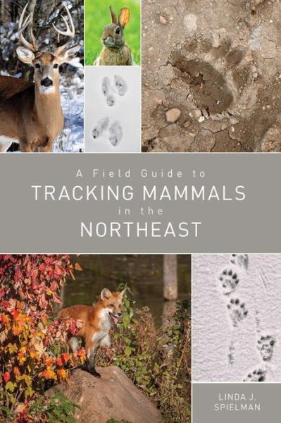 Linda J. Spielman · A Field Guide to Tracking Mammals in the Northeast (Paperback Book) (2024)