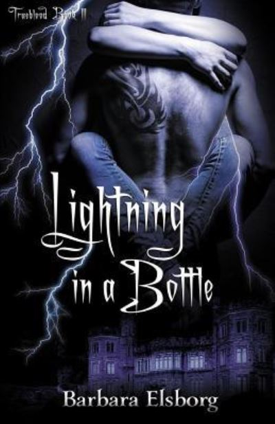 Cover for Barbara Elsborg · Lightning in a Bottle (Paperback Book) (2018)