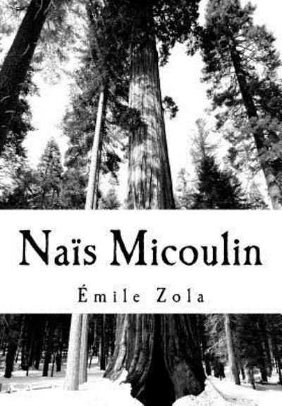 Cover for Emile Zola · Na s Micoulin (Paperback Bog) (2018)