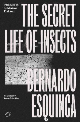 The Secret Life of Insects - Bernardo Esquinca - Books - Cinder House - 9781838171643 - March 28, 2024