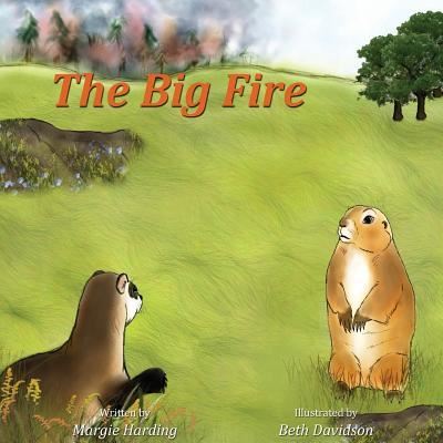 Cover for Margie Harding · The Big Fire (Pocketbok) (2018)