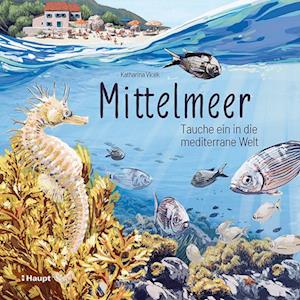 Cover for Katharina Vlcek · Mittelmeer (Book)