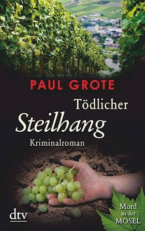 Cover for Paul Grote · Todlicher Steilhang (Paperback Book) (2013)