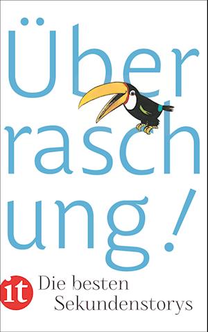 Cover for Clara Paul · Insel TB.4364 Überraschung! (Book)