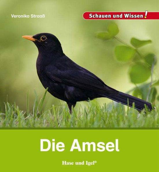 Die Amsel - Straaß - Boeken -  - 9783867607643 - 