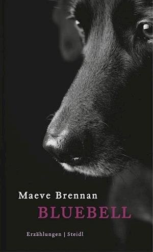 Cover for Maeve Brennan · Bluebell (Inbunden Bok) (2013)