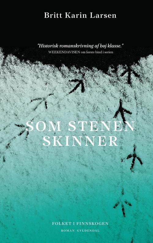 Cover for Britt Karin Larsen · Folkene i Finnskogen: Som stenen skinner (Hæftet bog) [1. udgave] (2017)