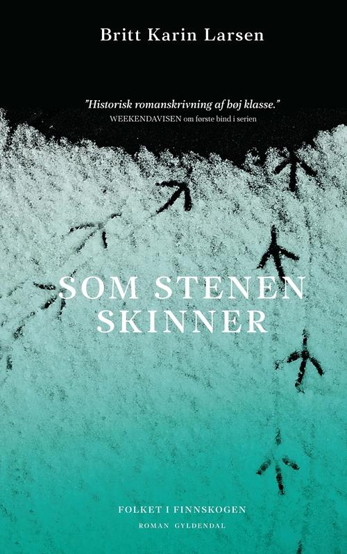 Cover for Britt Karin Larsen · Folkene i Finnskogen: Som stenen skinner (Sewn Spine Book) [1.º edición] (2017)