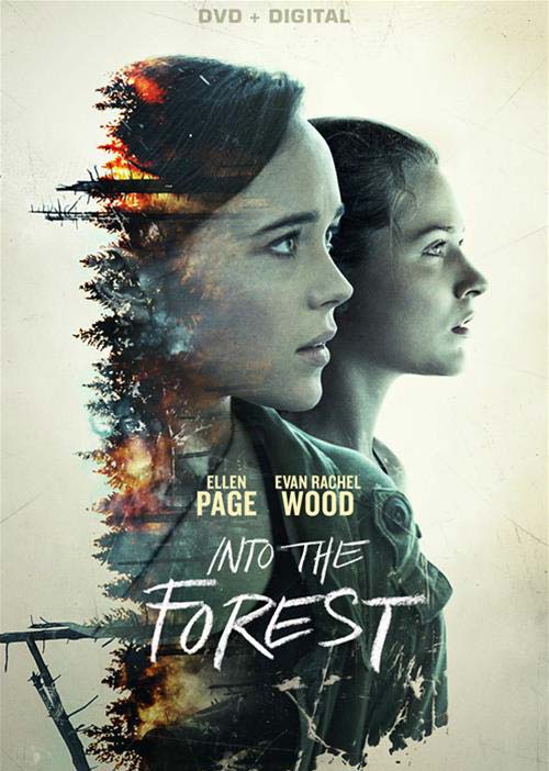 Cover for Into the Forest (DVD) (2016)