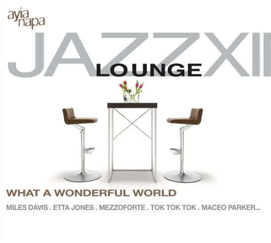 Jazz Lounge XII - Jazz Lounge Xii - Muziek - AYIA NAPA - 0090204915644 - 27 oktober 2017