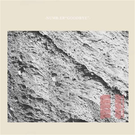 Cover for Numb.Er · Goodbye (LP) (2018)