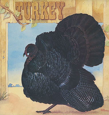 Cover for Wild Turkey · Turkey (CD) [Japan Import edition] (2013)