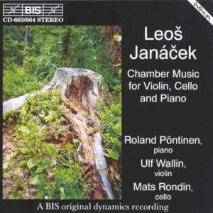 Piano Sonata In E Flat Mi - L. Janacek - Musikk - BIS - 7318596636644 - 17. februar 2003