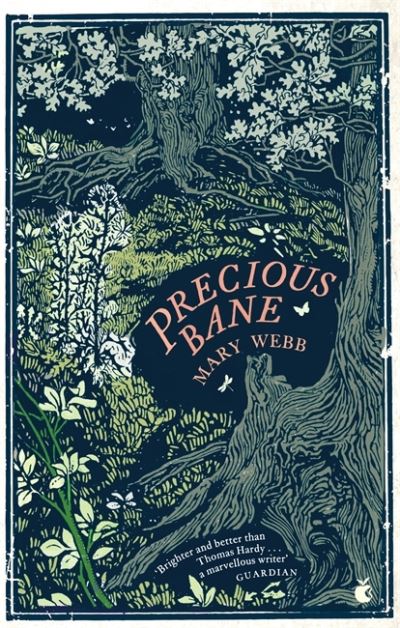 Precious Bane - Virago Modern Classics - Mary Webb - Books - Little, Brown Book Group - 9780349015644 - June 10, 2021