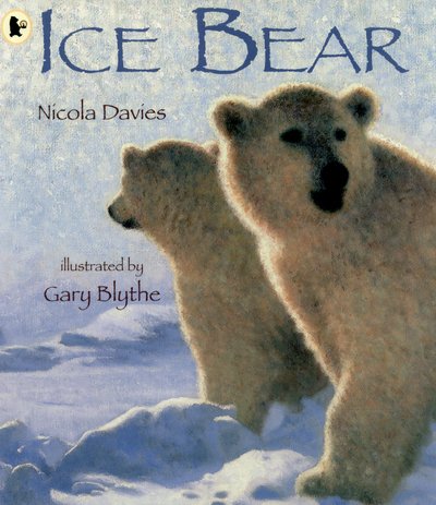Cover for Nicola Davies · Ice Bear (Paperback Book) (2015)
