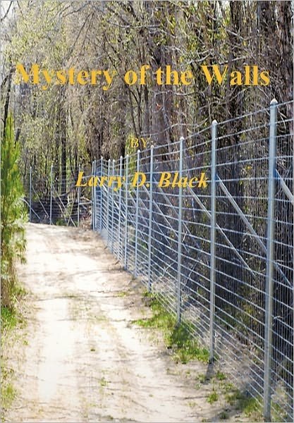 Larry Black · Mystery of the Walls (Paperback Book) (2011)