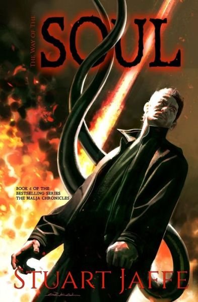 Cover for Stuart Jaffe · The Way of the Soul (Paperback Book) (2015)