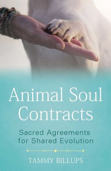 Cover for Tammy Billups · Animal Soul Contracts: Sacred Agreements for Shared Evolution (Paperback Book) (2020)