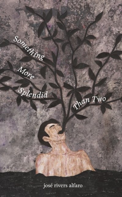 Cover for Alfaro Jose Rivers Alfaro · Something More Splendid Than Two (Paperback Book) (2022)