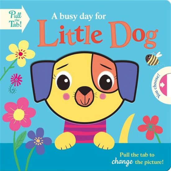 Cover for Holly Hall · A busy day for Little Dog (Board book) (2021)