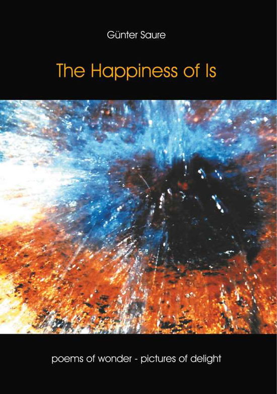 Cover for Saure · The Happyness of Is (Book)