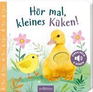 Cover for Kathryn Selbert · Hör mal, kleines Küken! (Board book) (2022)