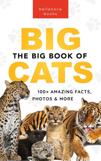 Cover for Jenny Kellett · The Big Book of Big Cats: 100+ Amazing Facts About Lions, Tigers, Leopards, Snow Leopards &amp; Jaguars - Animal Books for Kids (Hardcover Book) (2023)