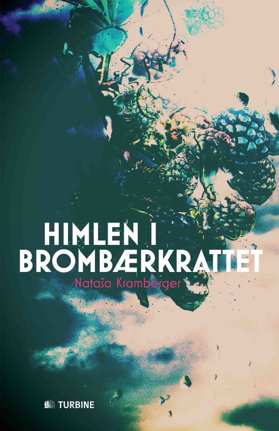 Cover for Natasa Kramberger · Himlen i brombærkrattet (Paperback Book) [1er édition] (2014)