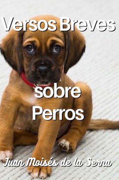 Cover for Versos Breves Sobre Perros (Paperback Book) (2021)