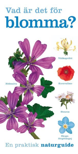 Cover for David Burnie · En praktisk naturguide: Vad är det för blomma? (Book) (2020)