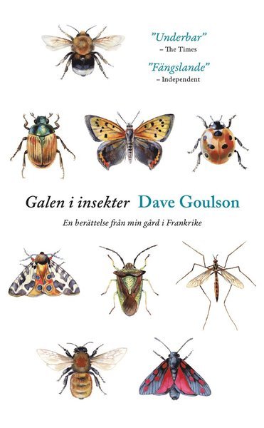 Cover for Dave Goulson · Galen i insekter : En berättelse från min gård i Frankrike (Pocketbok) (2018)
