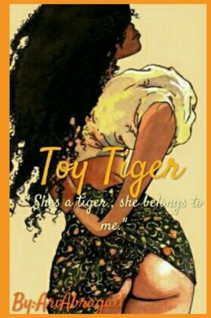 Cover for Ari Abragail · Toy Taiga: She's a tiger, She belongs to me. (Paperback Book) (2021)