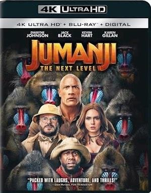 Jumanji: Next Level - Jumanji: Next Level - Film - ACP10 (IMPORT) - 0043396556645 - 17. mars 2020