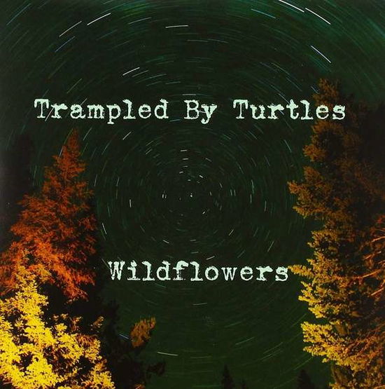 Wildflowers - Trampled By Turtels - Musiikki - Banjodad - 0752830936645 - lauantai 21. huhtikuuta 2018