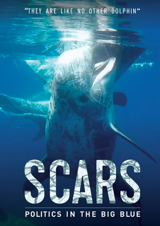 Cover for Feature Film · Scars (DVD) (2024)
