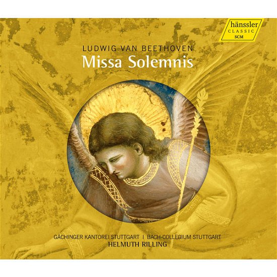 Ludwig Van Missa Solemnis 123 - Beethoven / Coburn / Quivar / Baldin / Schmidt - Musik - HANSSLER - 4010276027645 - 13. januar 2015