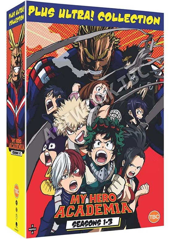 Cover for My Hero Academia  Seasons 13 (DVD) (2020)